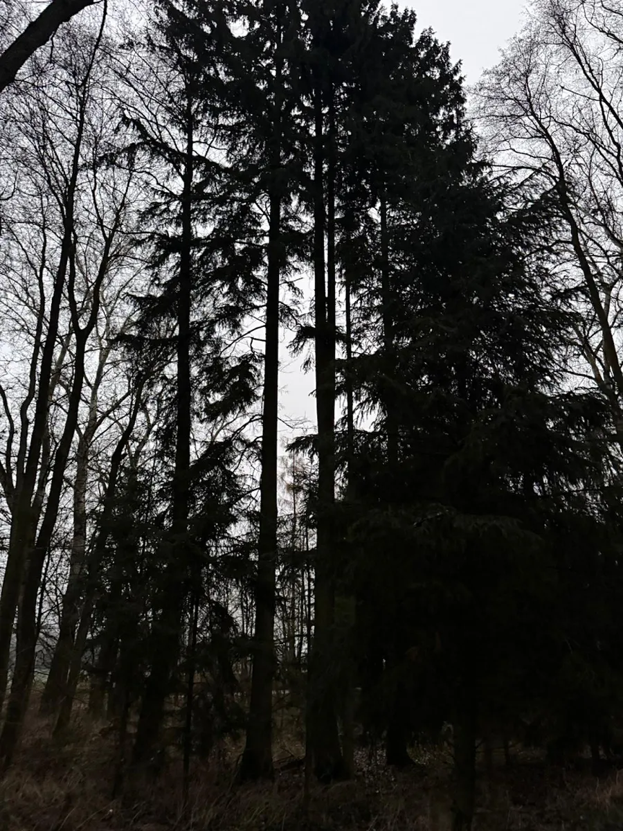 Fotka 10 z 18